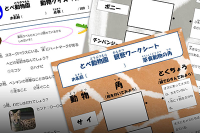 動物観察ワークシート・動物クイズシート