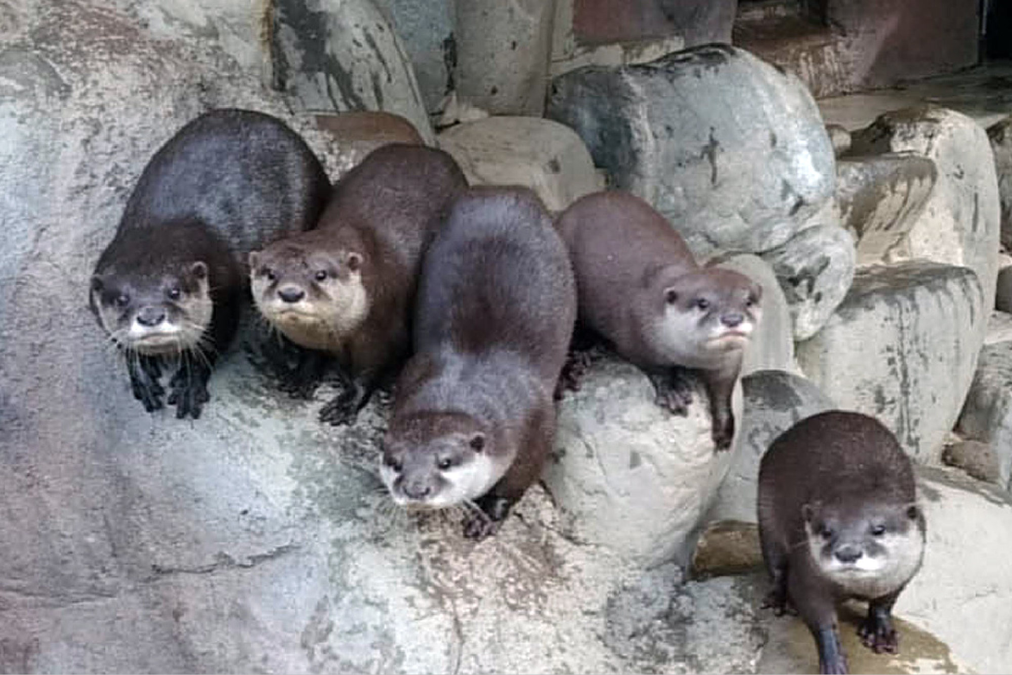 Amazon欲しいものリスト